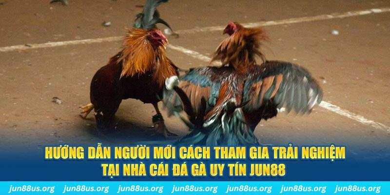 luck888 CQ9 Điện Tử