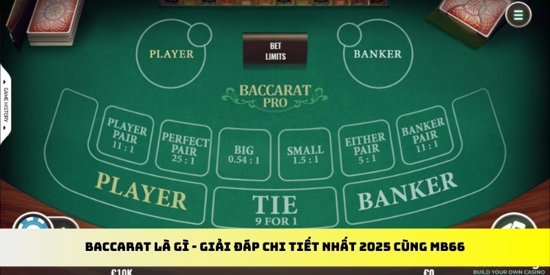 luck888 gà chọi cu cần