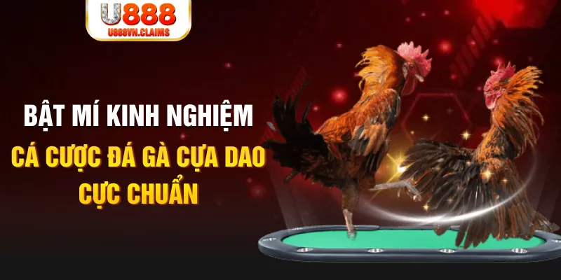 luck888 tỷ lệ cá cược châu á là gì