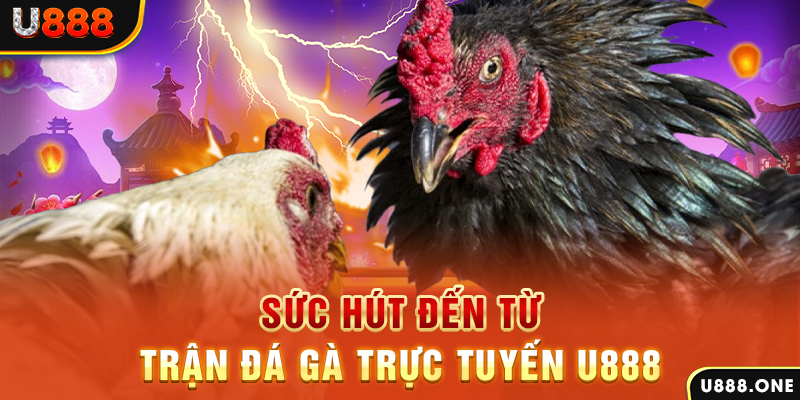 luck888 nổ hũ b29 là gì