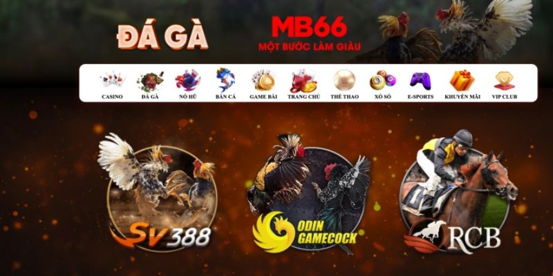 luck888 đăng nhập poker số 1