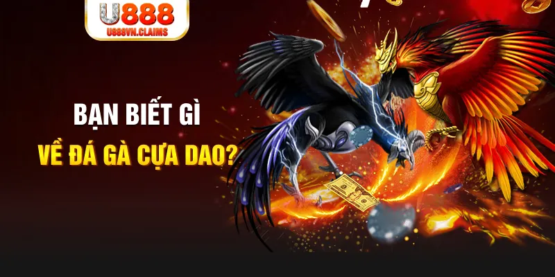 luck888 nổ hủ là gì