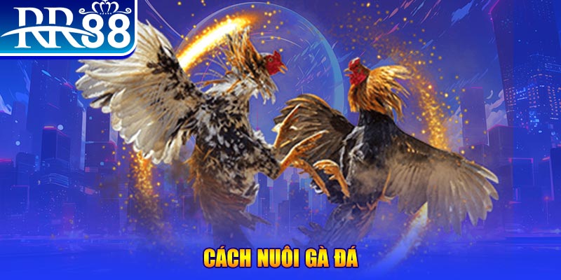 luck888 xổ số an giang