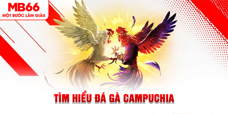 luck888 đá gà trực tiếp