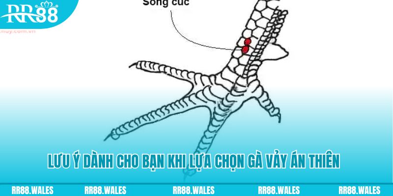 luck888 xổ số đồng nai