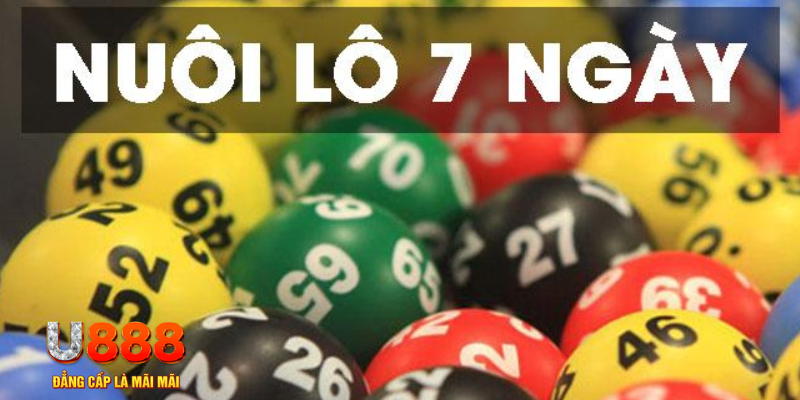 luck888 slot là j