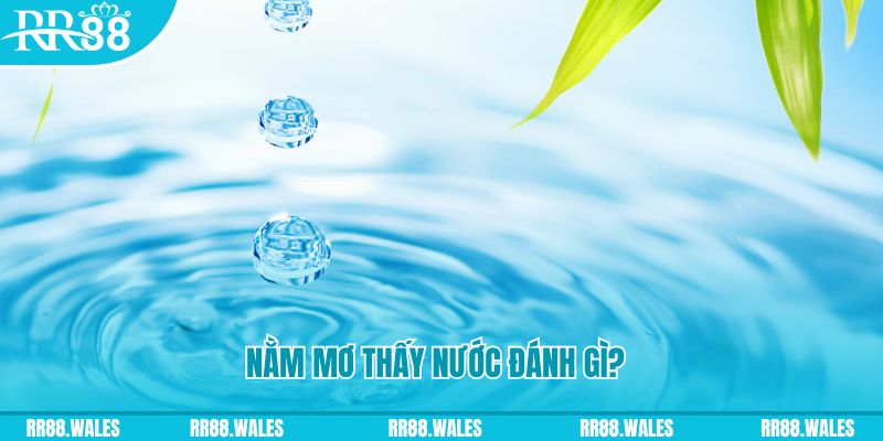 luck888 TP Bắn cá