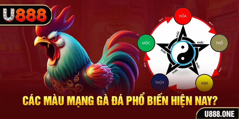 luck888 trực tiếp đá gà 88