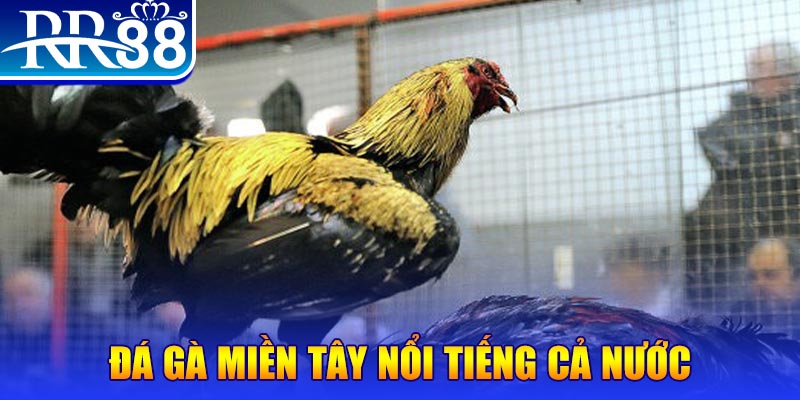 luck888 JILI Game Bài 3d