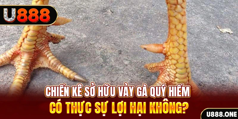 luck888 nohu .mx nổ hủ là gì