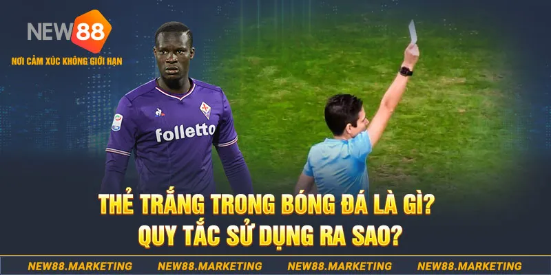 luck888 gà chọi mộc hóa