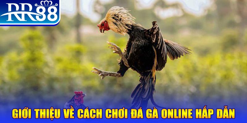 luck888 game nổ hũ rút tiền mặt là gì