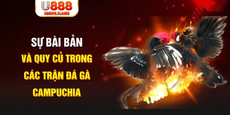luck888 YGR Điện Tử