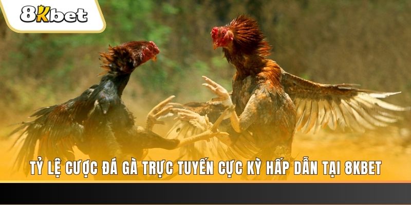 luck888 xổ số trực tiếp miền bắc