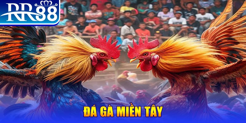 luck888 đăng nhập nổ hũ