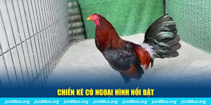 luck888 chạy quảng cáo cho game bài bị phạt như thế nào