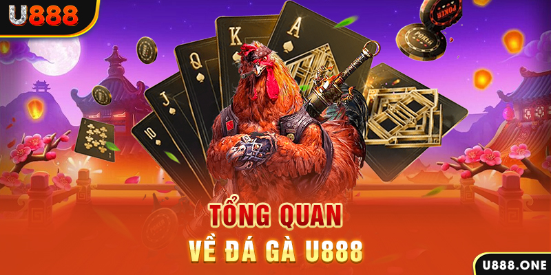 luck888 ILOVEU Điện Tử