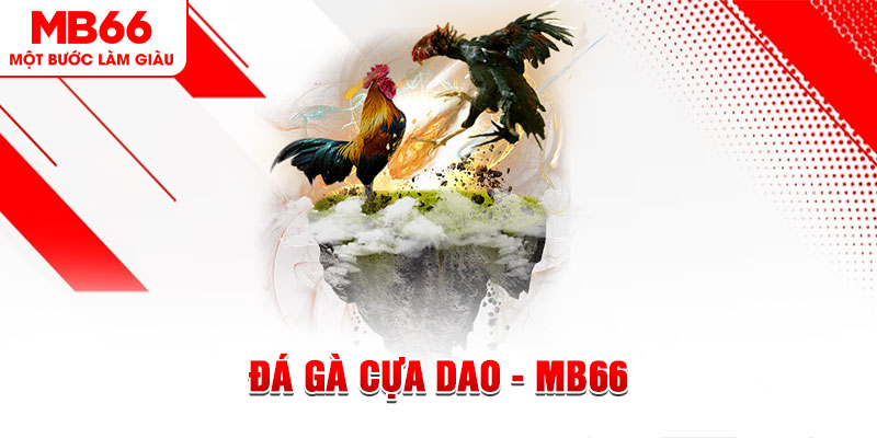 luck888 đá gà sv388 gold
