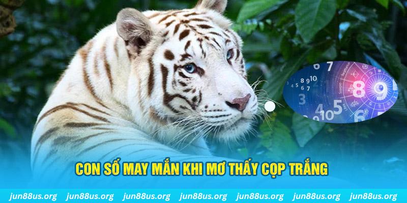 luck888 đá gà trực tiếp 88